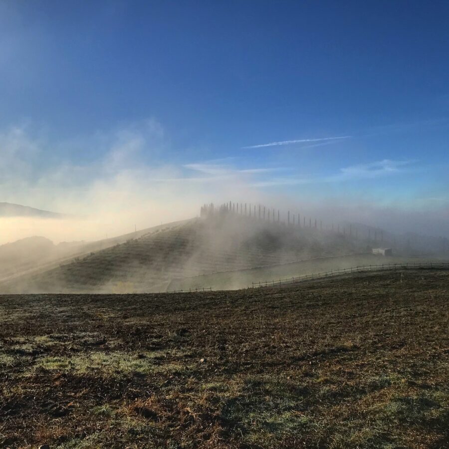 Fog