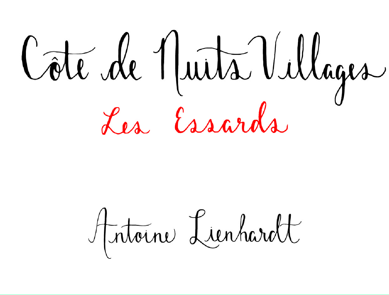 Côte de Nuits Villages Les Essards / Pinot Noir