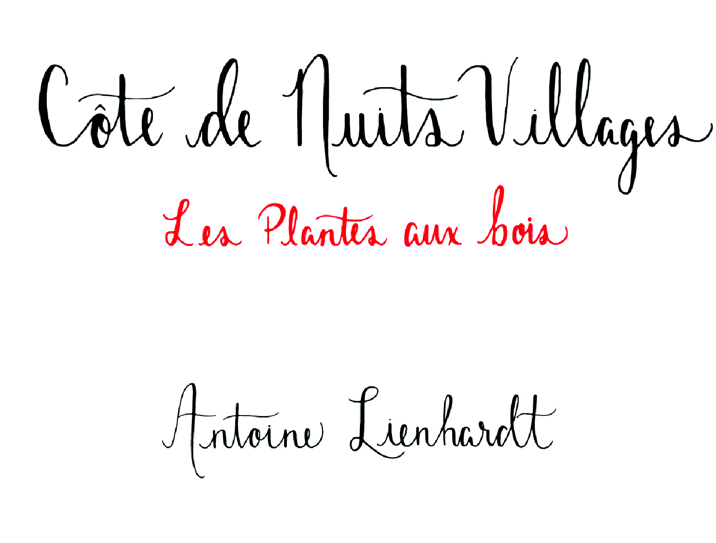 Côte de Nuits Villages Les Plantes Aux Bois / Pinot Noir