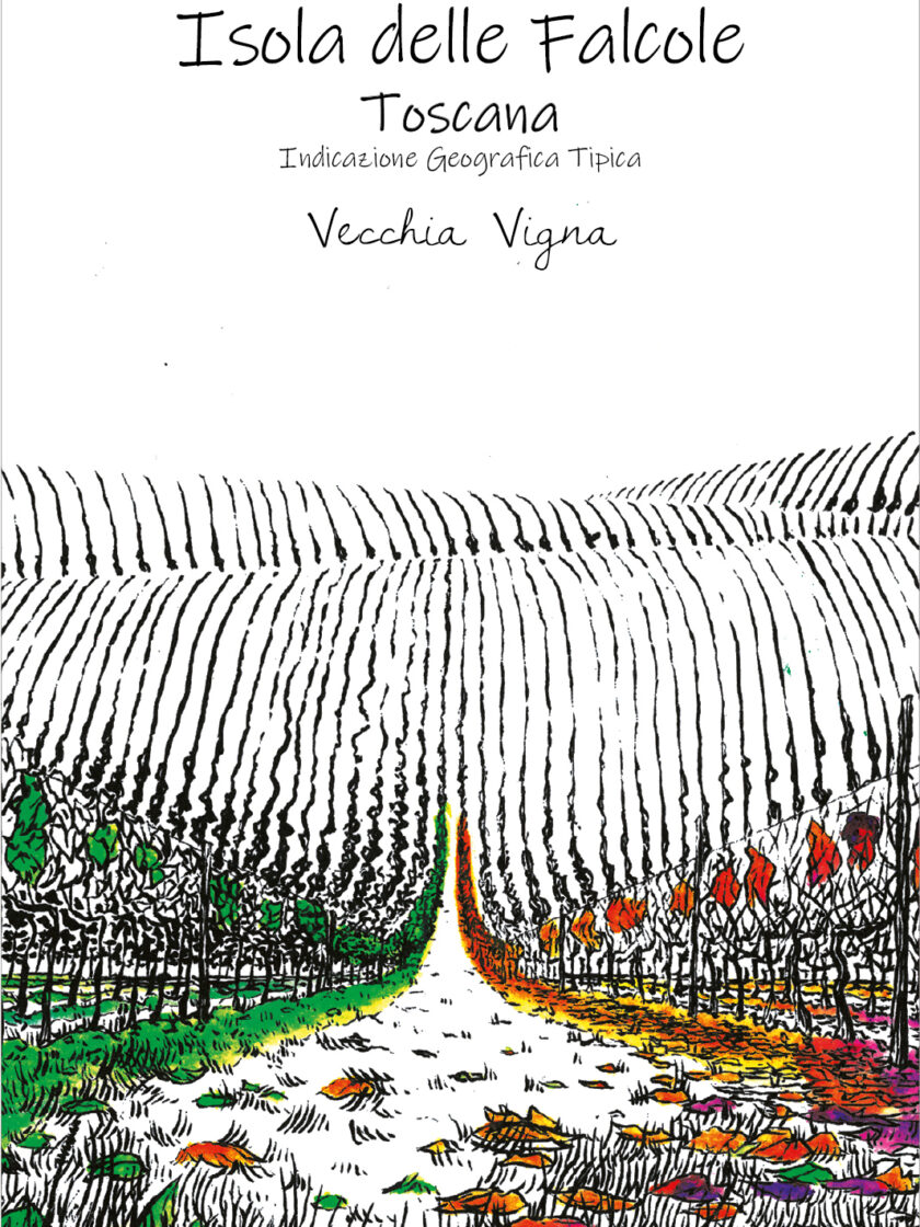 Vecchia Vigna / Sangiovese, Colorino,
Canaiolo, Ciliegiolo,
Malvasia, Trebbiano