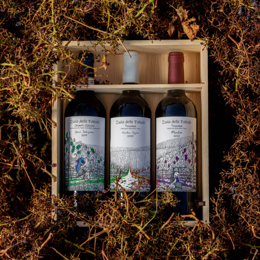 Isola delle Falcole_Vendemmia 2023-431