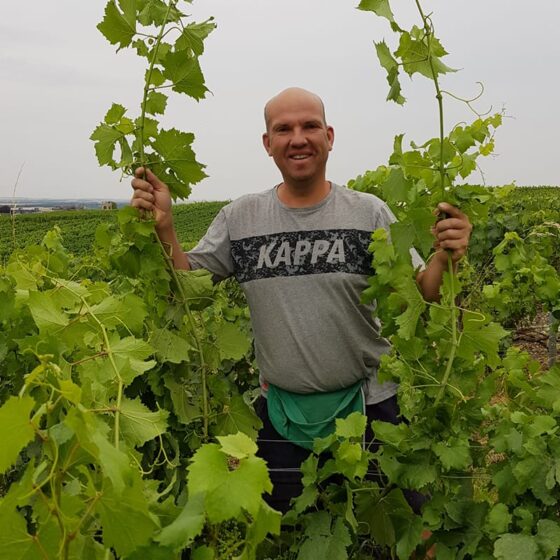 VIGNE.AVIZE.MARVILLANNES.2019