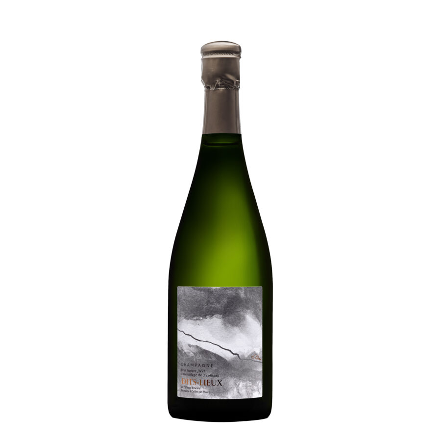 Champagne Brut Nature - Dits-Lieux / Pinot Noir, Pinot Blanc, Chardonnay